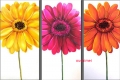 hand painted 3 panel colourful sunflowers wall painting modern landscape home art picture view painted on canvas