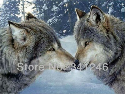 2013 hand-painted hi-q huge size modern wall art home decorative realistic animal oil painting on canvas lover wolves 1pc/set