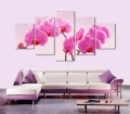 beautiful warm phalaenopsis,5 panels/set hd picture canvas print painting artwork, wall decorative painting