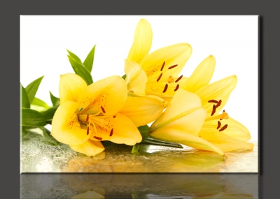 beautiful yellow lilies,1 panel/set hd canvas print painting artwork,, decorative painting h02151d-n