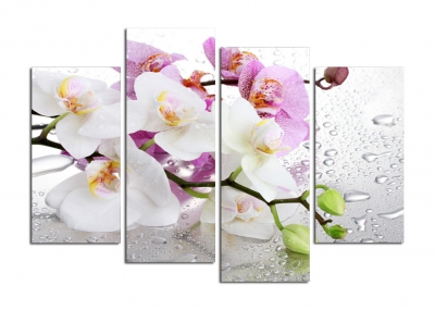 4 panels white flowers plant art wall painting print on canvas for home decor ideas paints on wall pictures framed f/1181