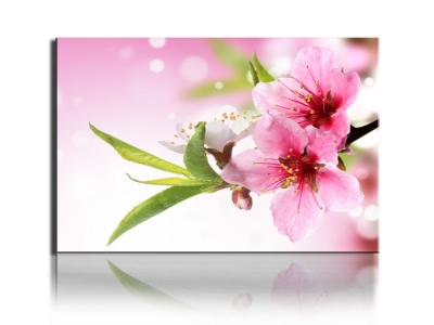 1 piece sell modern wall painting blooming plum home decorative art picture paint on canvas printing