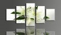 beautiful white lilys 5 panels/set hd canvas print painting artwork wall decorative for living room painting unframed