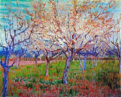 orchard with blossoming apricot trees of vincent van gogh hand made reproduction oil painting on canvas for home decoration