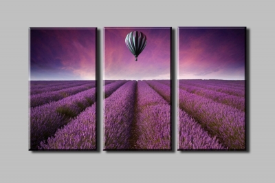 purple lavender garden and a air balloon 3 panels/set hd picture canvas print painting artwork decorative painting