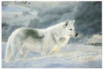 2013 hand-painted hi-q huge size modern wall art home decorative realistic animal oil painting on canvas snowwolf 1pc/set