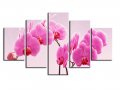 5 panel the red flower large hd wall picture decorative art print painting on canvas for living room home decoration unframed