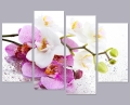 modern home decor wall art picture for living room bedroom decor pink phalaenopsis butterfly orchid flower canvas print painting