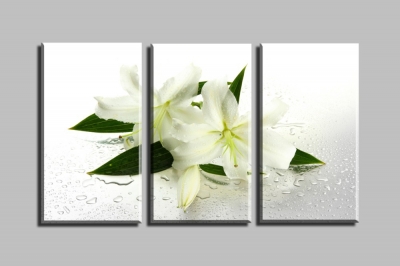 white lilies 3 panels/set hd canvas print painting artwork wall art picture gift for room decorative painting h00759d-n