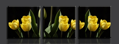 yellow flowers 3 panels/set hd picture canvas print painting artwork sell decorative painting