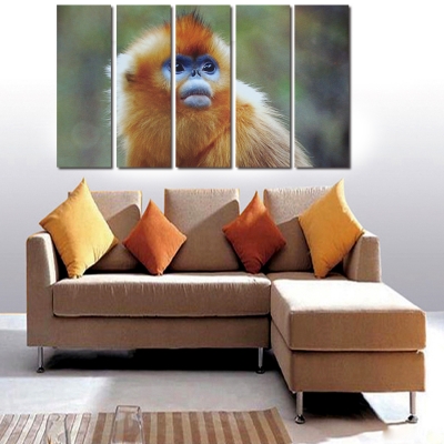 5 panel modern printed monkey canvas painting cuadros picture animal landscape oil paintings for living room (no frame)