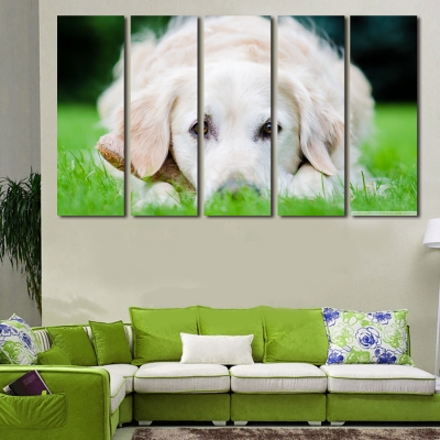 2016 new 5 pcs large canvas print painting for living room, wall art picture gift,decoration home cute dog picture unframed