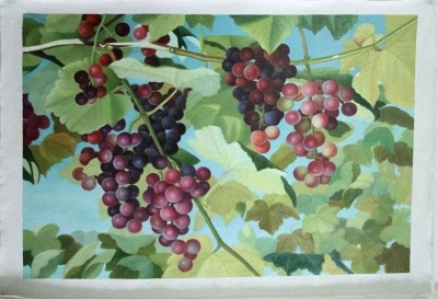 realism grapes hand painted oil painting on canvas tds-xs045---60x90cm