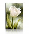 1 piece/set white datura hd canvas print painting art work home decoration painting for living room