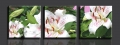 lily 3 panels/set hd picture canvas print painting artwork, sell decorative painting