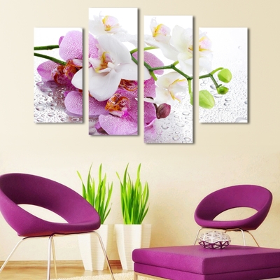 phalaenopsis 5 panels/set large hd canvas print painting artwork wall art picture modern abstract painting on canvas unframed