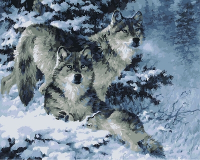 frameless diy digital oil painting 40 50cm painting by number kits acrylic painting unique gift wolf ms8830