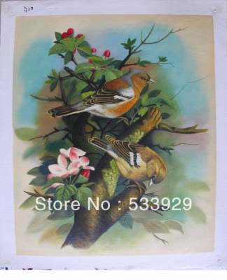 animal-birds hand painted oil painting on canvas tds-img2324 20x24 inch
