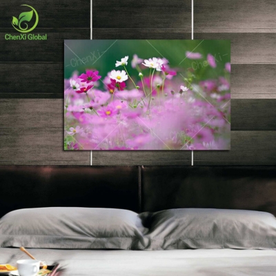 2015 new oil painting picture canvas painting still life decoration for living room wall pictures printing on canvas(no frame)