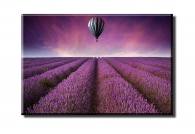 beautiful lavender original and air balloons , 1 panel/set hd canvas print painting artwork, , whole h00251d-n