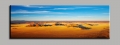 desert and blue sky,1 panel/set hd canvas print painting artwork, .decorative painting s02242d-n