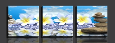 flower and stones 3 panels/set hd picture canvas print painting artwork sell decorative painting