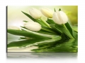 1 pieces popular hd modern wall painting green and white tulip flowers home wall art picture print on canvas unframed