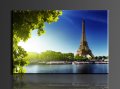 eiffel tower,1 panel/set hd canvas print painting artwork,, decorative painting s00651d-n