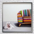 handpainted abstract oil painting animal wall art on canvas for home decoration 1pc dog the sofa oil paintings no frame nk340