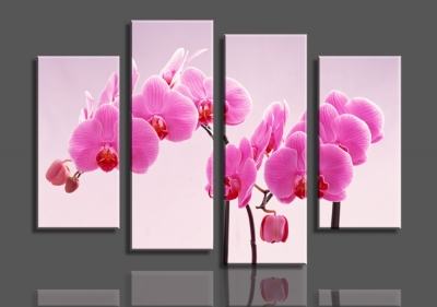 shopping phalaenopsis 4 panels/set hd canvas print painting artwork, wall art the picture.