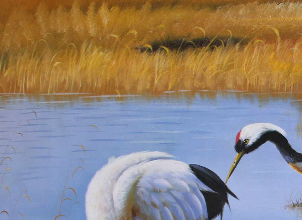 animal-cranes hand painted oil painting on canvas tds-dw005
