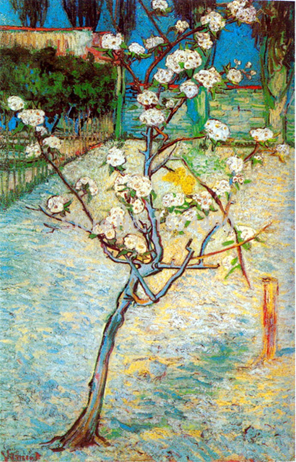 blossoming pear tree of vincent van gogh oil painting hand made reproduction oil painting on canvas wall painting for home decor