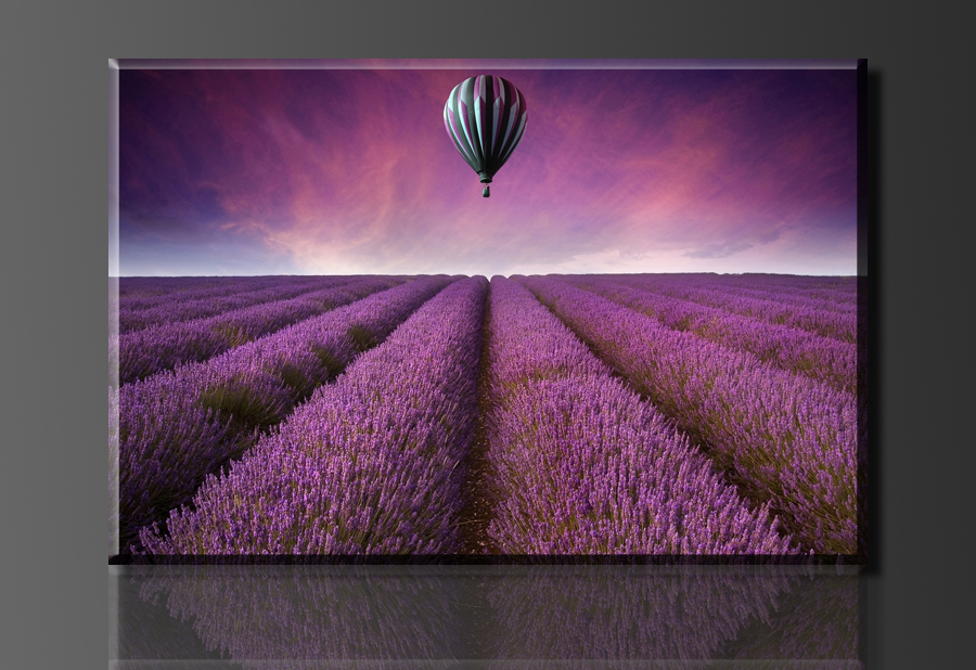 beautiful lavender original and air balloons , 1 panel/set hd canvas print painting artwork, , whole h00251d-n