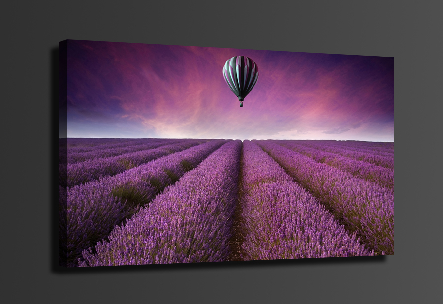 beautiful lavender original and air balloons , 1 panel/set hd canvas print painting artwork, , whole h00251d-n