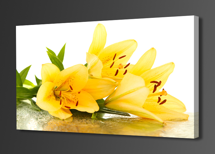 beautiful yellow lilies,1 panel/set hd canvas print painting artwork,, decorative painting h02151d-n