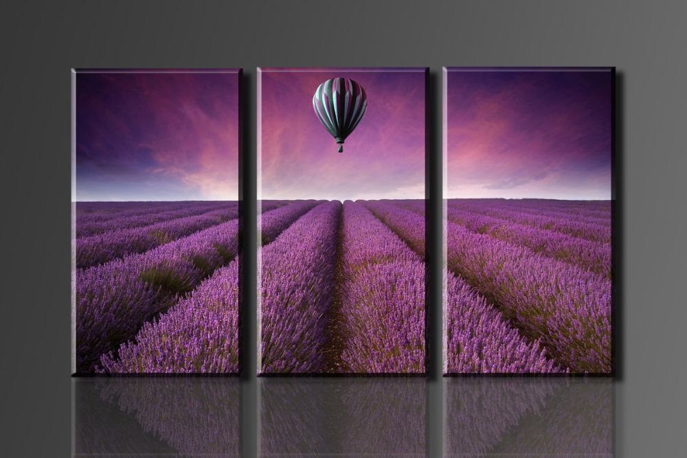 purple lavender garden and a air balloon 3 panels/set hd picture canvas print painting artwork decorative painting