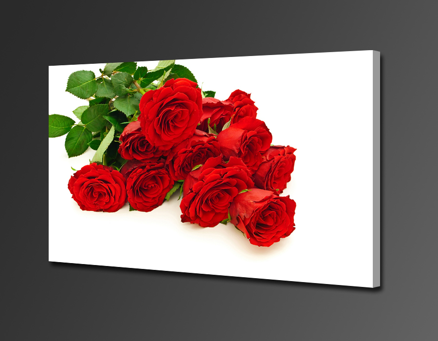romantic roses ,1 panel/set hd canvas print painting artwork, decorative painting of living roomdecorative painting h00251d-n