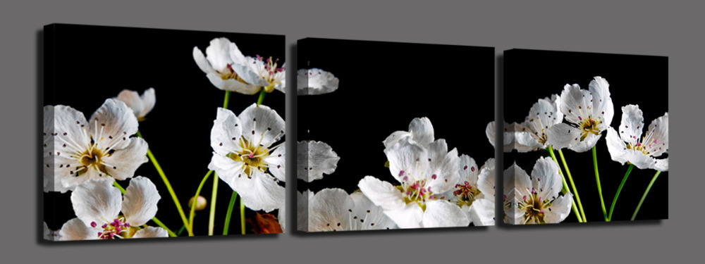 white flowers 3 panels/set picture hd canvas print painting artwork sell decorative painting