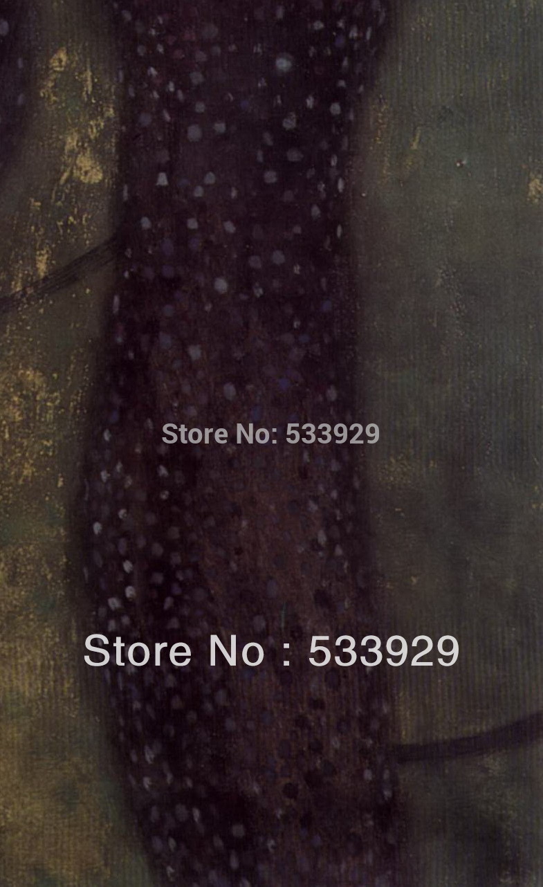 gustav klimt hand painted oil painting on canvas tds-gk027 24x36inch (60x90cm)