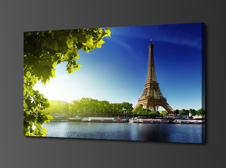 eiffel tower,1 panel/set hd canvas print painting artwork,, decorative painting s00651d-n