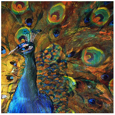 hand painted modern oil painting peacock spreads its tail wall pictures for living room