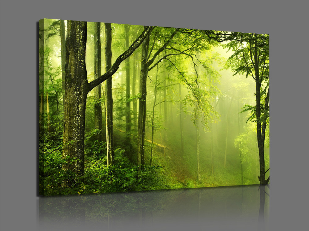 1 piece sell fog enveloped the woods modern home decorative art picture paint on canvas printing